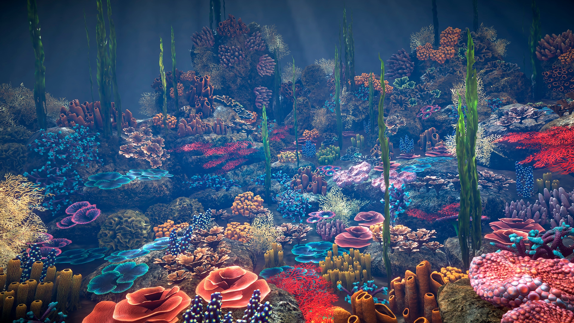 Corals 珊瑚场景模型