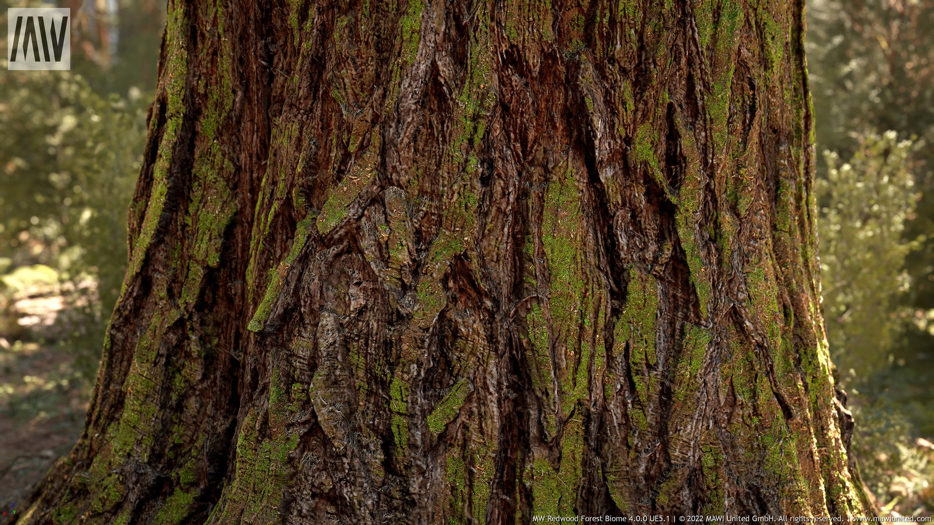 虚幻超写实自然树林季节场景MW Redwood Tree Forest Biome