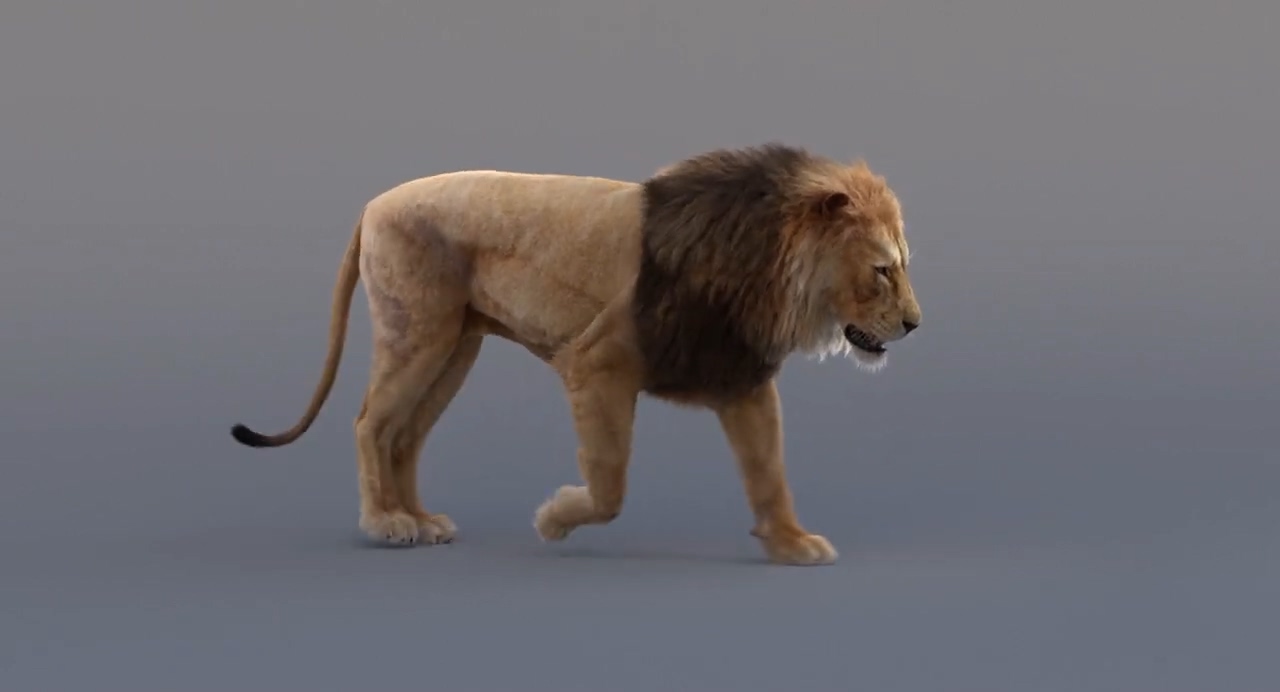 狮子，狗熊，马四足动物动画运动解析