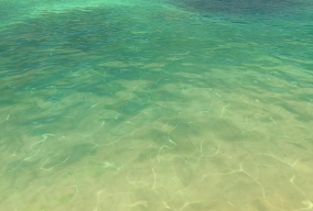 Unity真实水面特效源文件